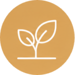 Give-Feedback การให้ Feedback เพื่อช่วยการเติบโต - BRAVEWAY